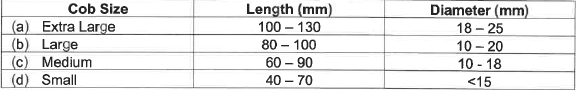 R2826 S31 Size groups standard size groups &nbsp;(1)